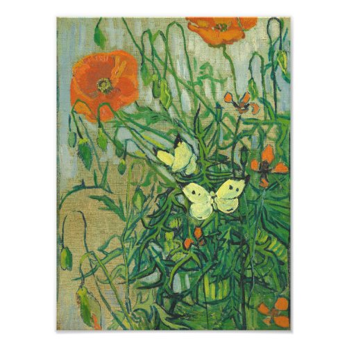 Vincent Van Gogh _ Butterflies and poppies Photo Print