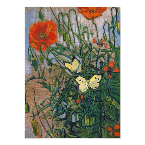 Vincent van Gogh _ Butterflies and Poppies Photo Print