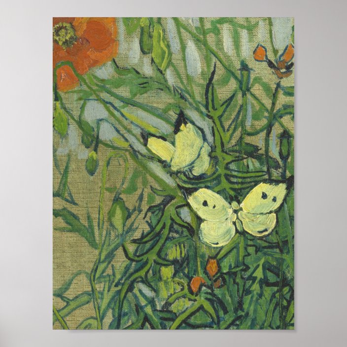 Vincent Van Gogh - Butterflies and poppies Poster | Zazzle.com