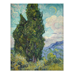 Vincent van Gogh - Cypresses Photo Print