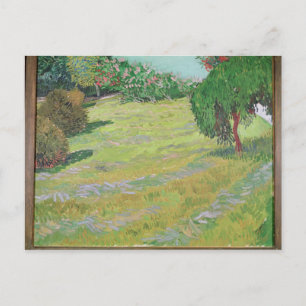 Vincent van Gogh   Field in Sunlight, 1888 Postcard