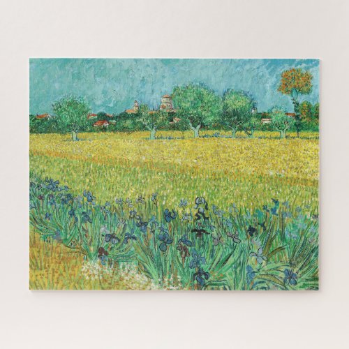 Vincent van Gogh _ Field with Irises near Arles Jigsaw Puzzle