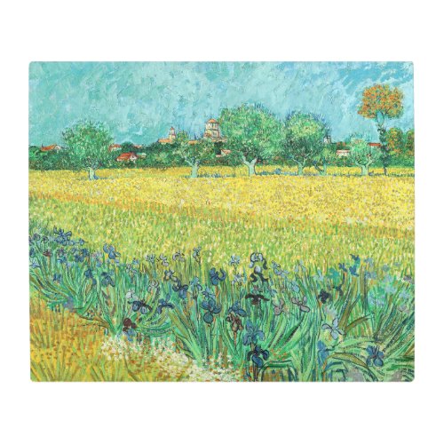 Vincent van Gogh _ Field with Irises near Arles Metal Print