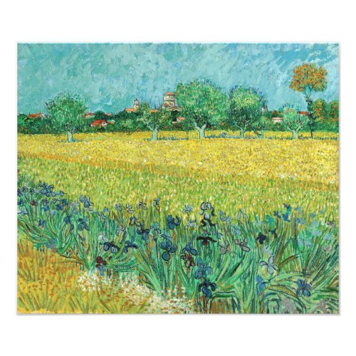 Vincent van Gogh _ Field with Irises near Arles Photo Print