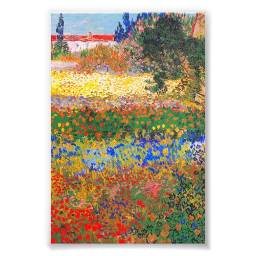 Vincent Van Gogh Flowering Garden Photo Print