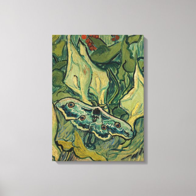 Vincent van Gogh - Giant Peacock Moth Canvas Print (Front)