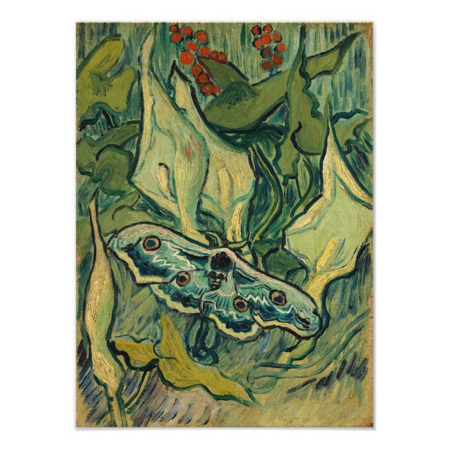 Vincent van Gogh - Giant Peacock Moth Photo Print (Front)