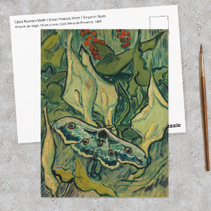 Vincent van Gogh - Giant Peacock Moth Postcard