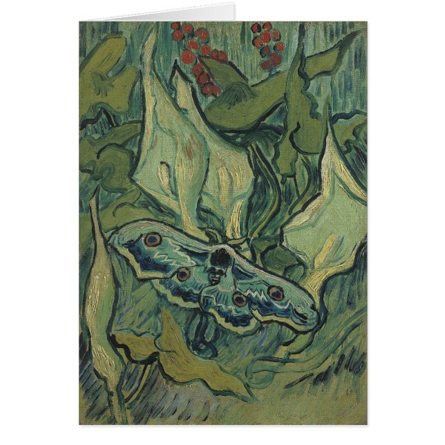 Vincent van Gogh - Great Peacock Moth Cards (Front)