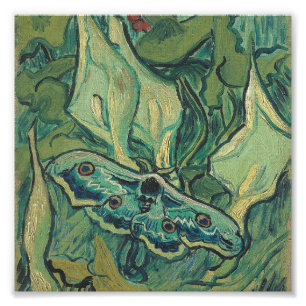 Vincent Van Gogh - Great Peacock Moth Photo Print