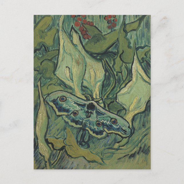 Vincent van Gogh - Great Peacock Moth Postcard (Front)