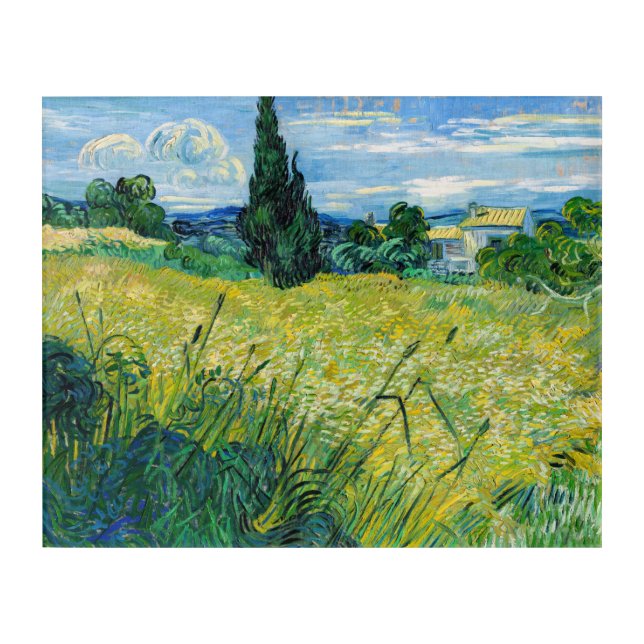 Vincent van Gogh - Green Wheat Field with Cypress Acrylic Print (Front)