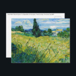 Vincent van Gogh - Green Wheat Field with Cypress Postcard<br><div class="desc">Green Wheat Field with Cypress / Le Champ de ble vert avec cypres - Vincent van Gogh,  Oil on Canvas,  June 1889 near Saint-Remy-de-Provence</div>