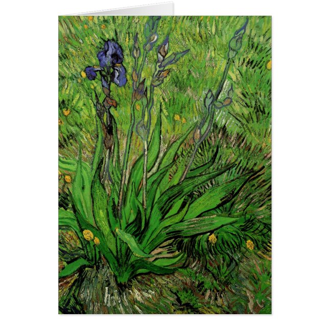 Vincent van Gogh - Iris Cards (Front)