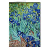 Vincent van Gogh Irises (Front)