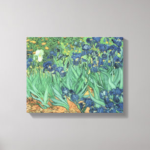 Vincent van Gogh   Irises, 1889 Canvas Print
