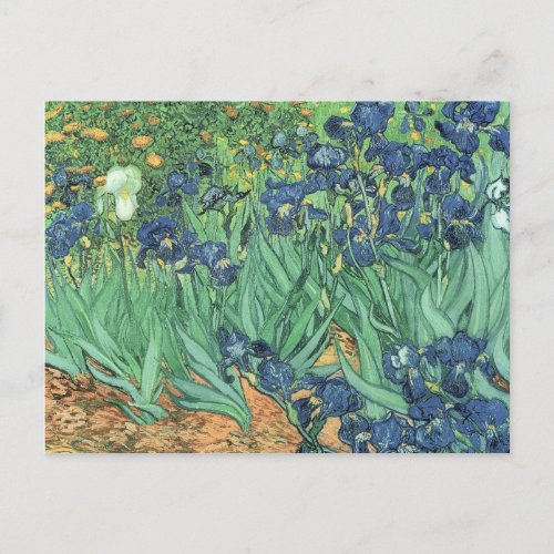 Vincent van Gogh  Irises 1889 Postcard