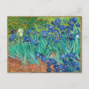VINCENT VAN GOGH - Irises 1889 Postcard