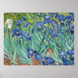 Vincent Van Gogh - Irises 1889 Poster