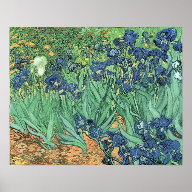 Vincent van Gogh | Irises, 1889 Poster (Front)
