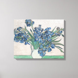 Vincent Van Gogh   Irises, 1890 Canvas Print