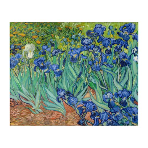 Vincent Van Gogh _ Irises Acrylic Print