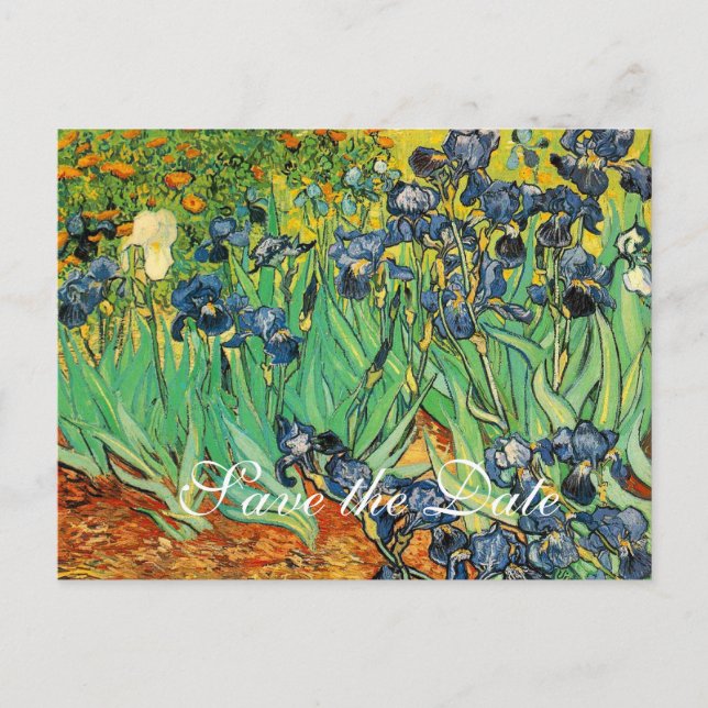 Vincent van Gogh,Irises Announcement Postcard (Front)