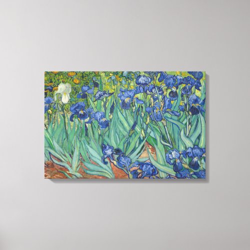 Vincent van Gogh _ Irises Canvas Print