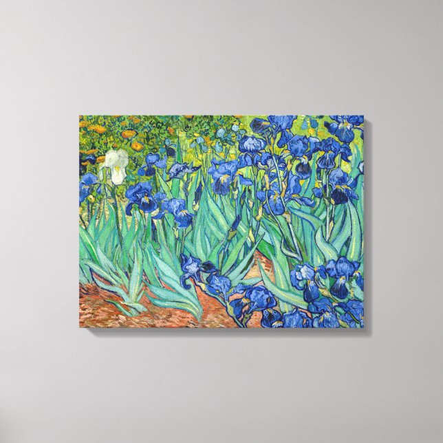 Vincent Van Gogh - Irises Canvas Print (Front)