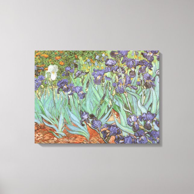 Vincent van Gogh - Irises Canvas Print (Front)