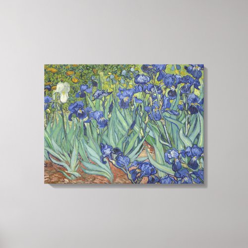 Vincent Van Gogh Irises Canvas Print