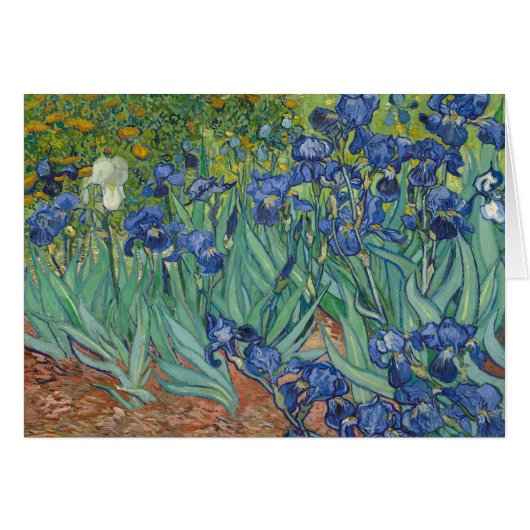 Vincent van Gogh - Irises Cards (Front Horizontal)
