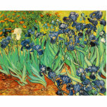 Vincent van Gogh,Irises Cutout<br><div class="desc">Vincent van Gogh, Irises</div>