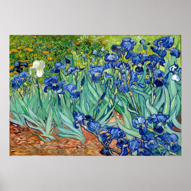 Vincent van Gogh - Irises - Famous Art  Poster (Front)
