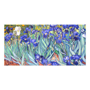 Vincent Van Gogh Irises Floral Vintage Fine Art Card