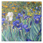 Vincent Van Gogh Irises Floral Vintage Fine Art Tile<br><div class="desc">Vincent Van Gogh Blue Irises Floral Fine Art Irises is one of many paintings of irises by the Dutch Post-Impressionist artist Vincent van Gogh. Like many artists of his time Van Gogh was influenced by Japanese ukiyo-e woodblock prints. The strong outlines, unusual angles, including close-up views, is a typical element...</div>