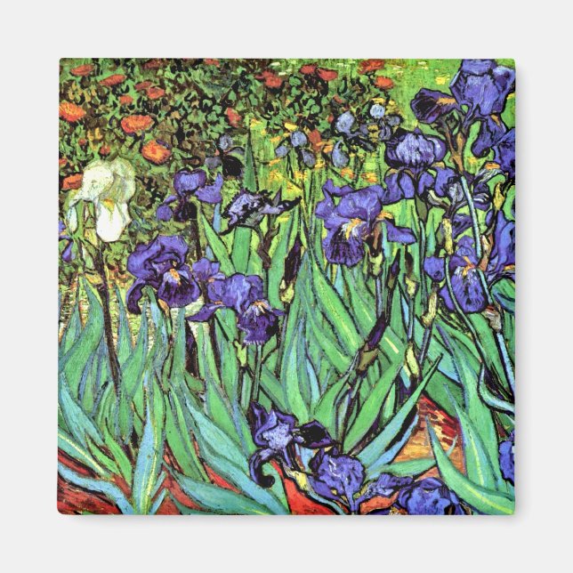 Vincent Van Gogh - Irises - Flower Lover Fine Art Magnet (Front)