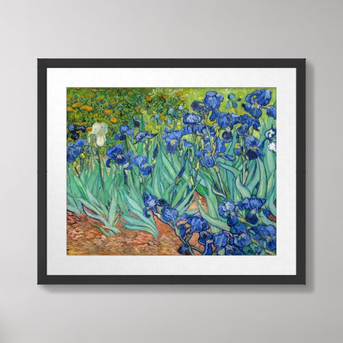 Vincent Van Gogh _ Irises Framed Art