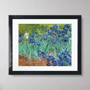 Vincent Van Gogh - Irises Framed Art
