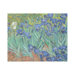Vincent Van Gogh - Irises Gallery Wrap
