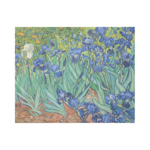 Vincent Van Gogh _ Irises Gallery Wrap