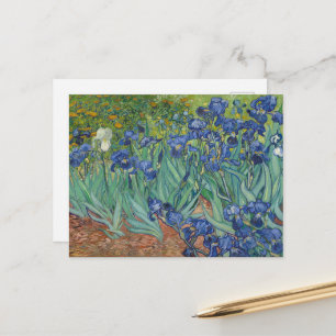 Vincent Van Gogh, Irises, Les Iris Postcard