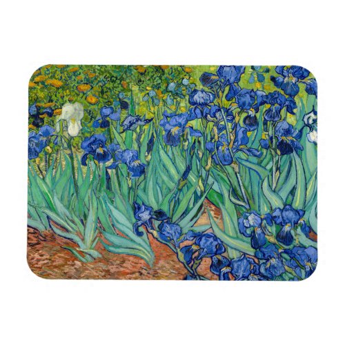 Vincent Van Gogh _ Irises Magnet