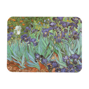 Vincent van Gogh - Irises Magnet