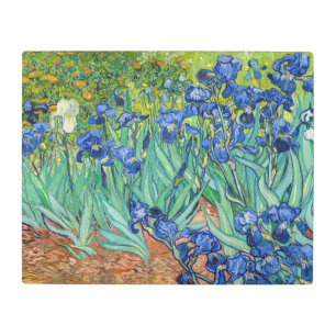 Vincent Van Gogh - Irises Metal Print