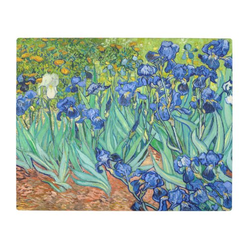 Vincent Van Gogh _ Irises Metal Print