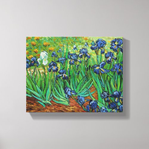 Vincent Van Gogh Irises Painting Canvas Print