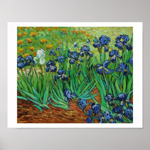 Vincent Van Gogh Irises Painting Canvas Print