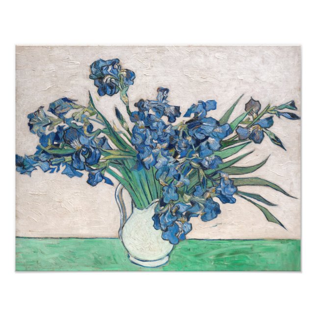 Vincent van Gogh - Irises Photo Print (Front)