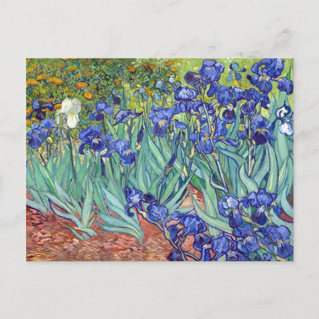 Vincent van Gogh Irises Postcard (Front)